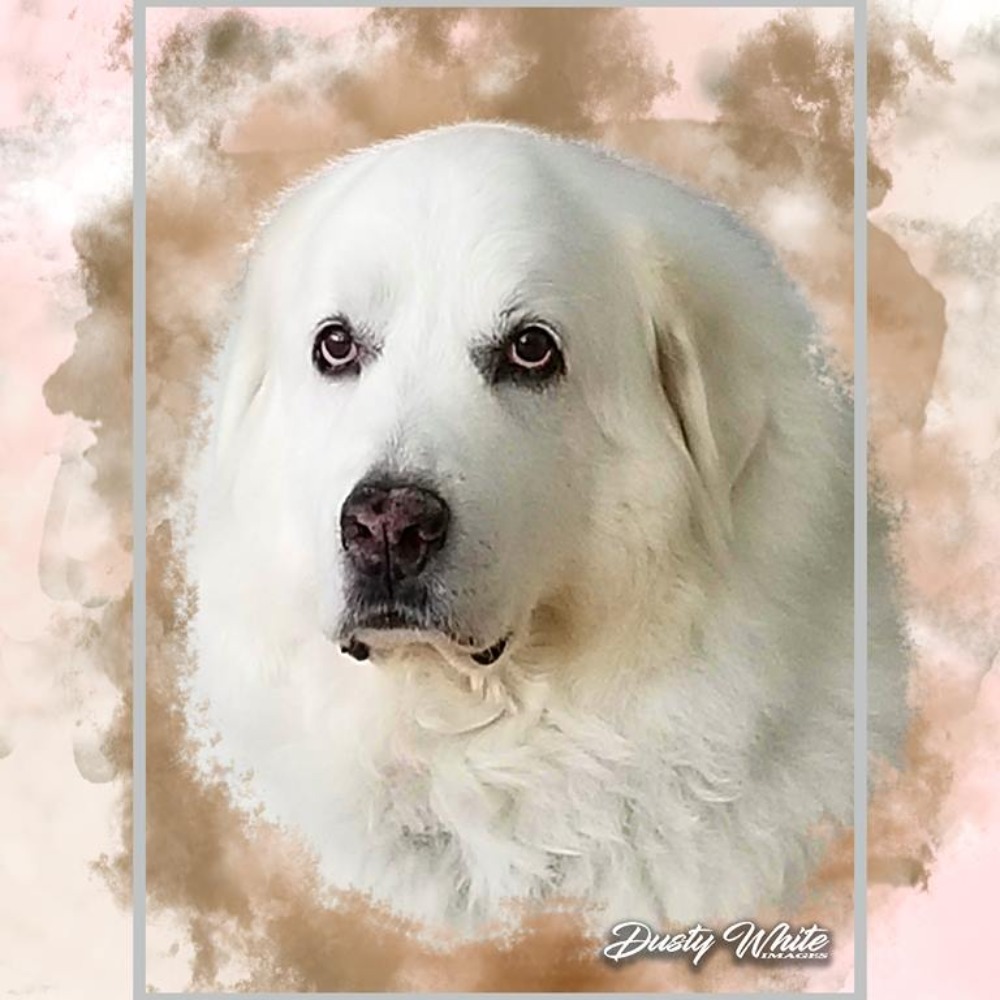 Meet your Posher, Kathleen